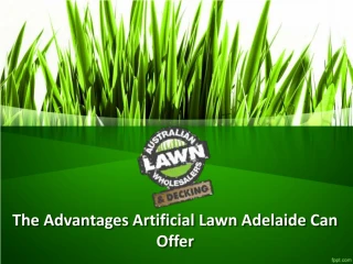 The Advantages Artificial Lawn Adelaide Can Offer - slide 1