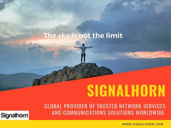 Reliable Wireless Networks Solutions - Signalhorn