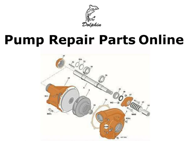 Pump Repair Parts Online