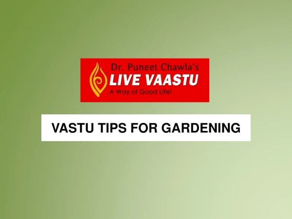 Vastu tips for gardening