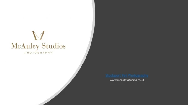 McAuley Studios - A prominent Pet photography in Stockport