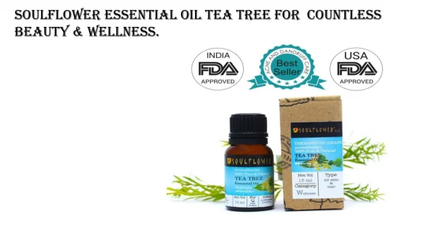 Soulflower Essential Oil Tea Tree for countless beauty & wellness.