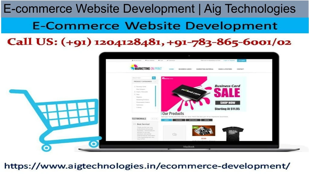 e commerce website development aig technologies