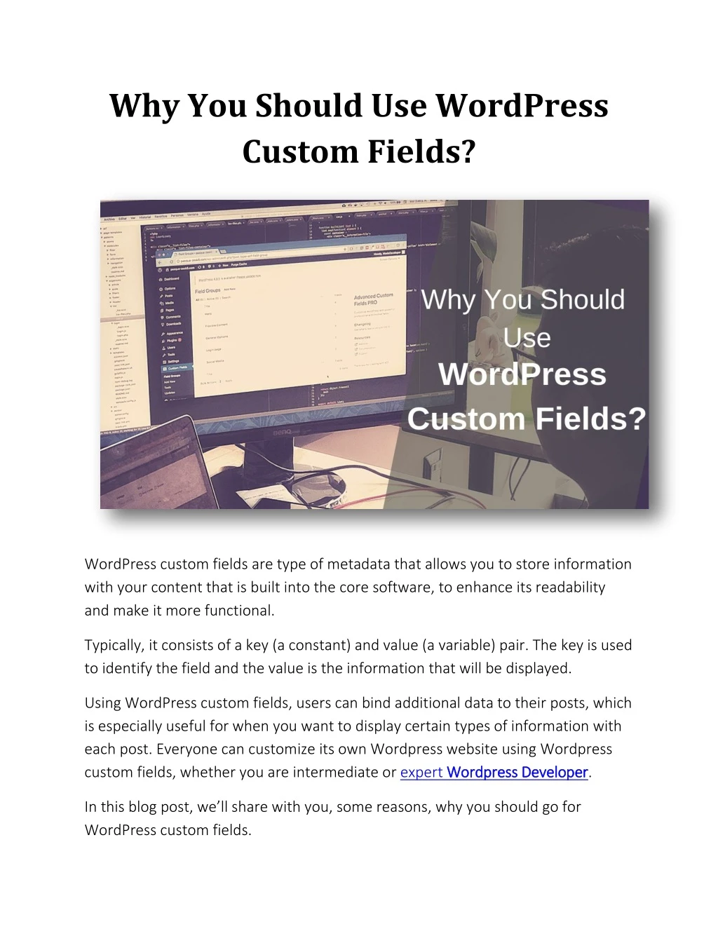why you should use wordpress custom fields