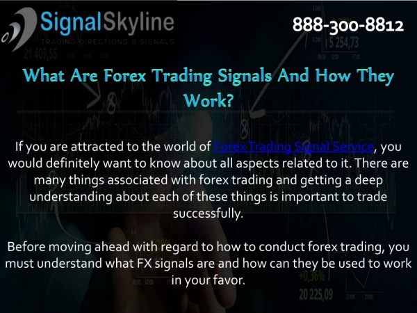 Best Forex Trading Signals