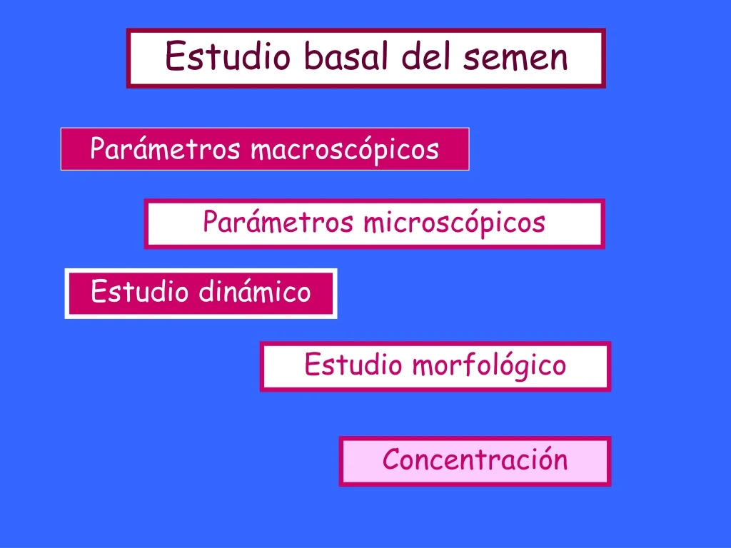 estudio basal del semen