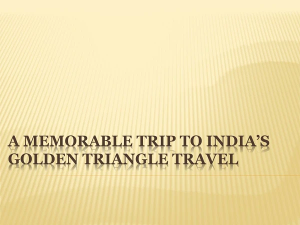 A memorable trip to india's golden triangle travel