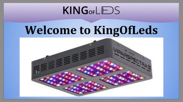 LED vs HID Grow Lights: Which Ones Are Better | KingOfLeds