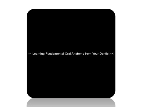 Learning Fundamental Oral Anatomy from Your Dentist