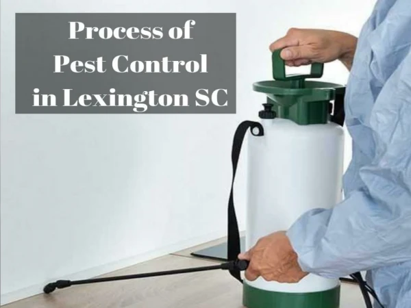 Process of Pest Control in Lexington SC by Columbia Certified Pest Control