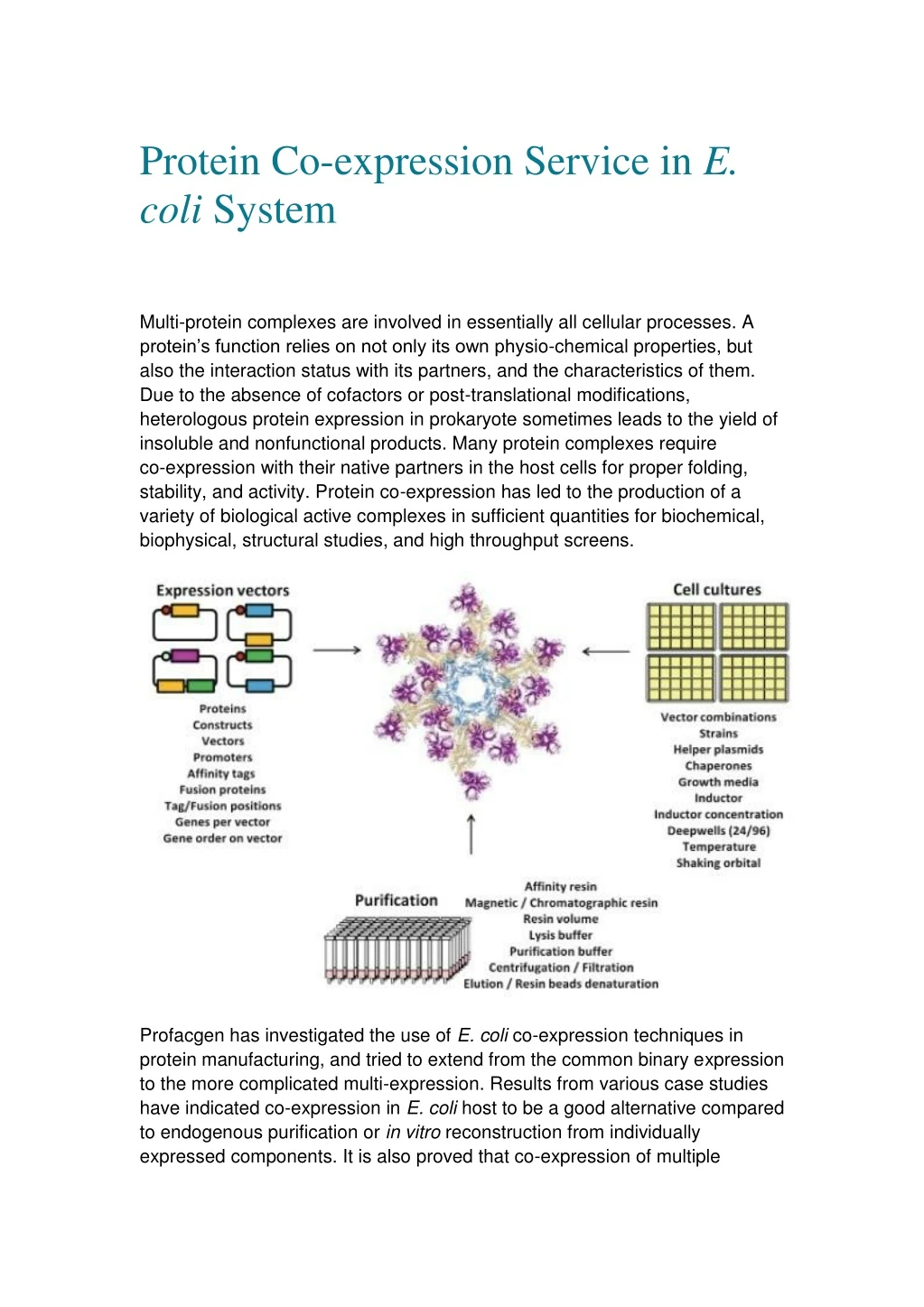 protein co expression service in e coli system