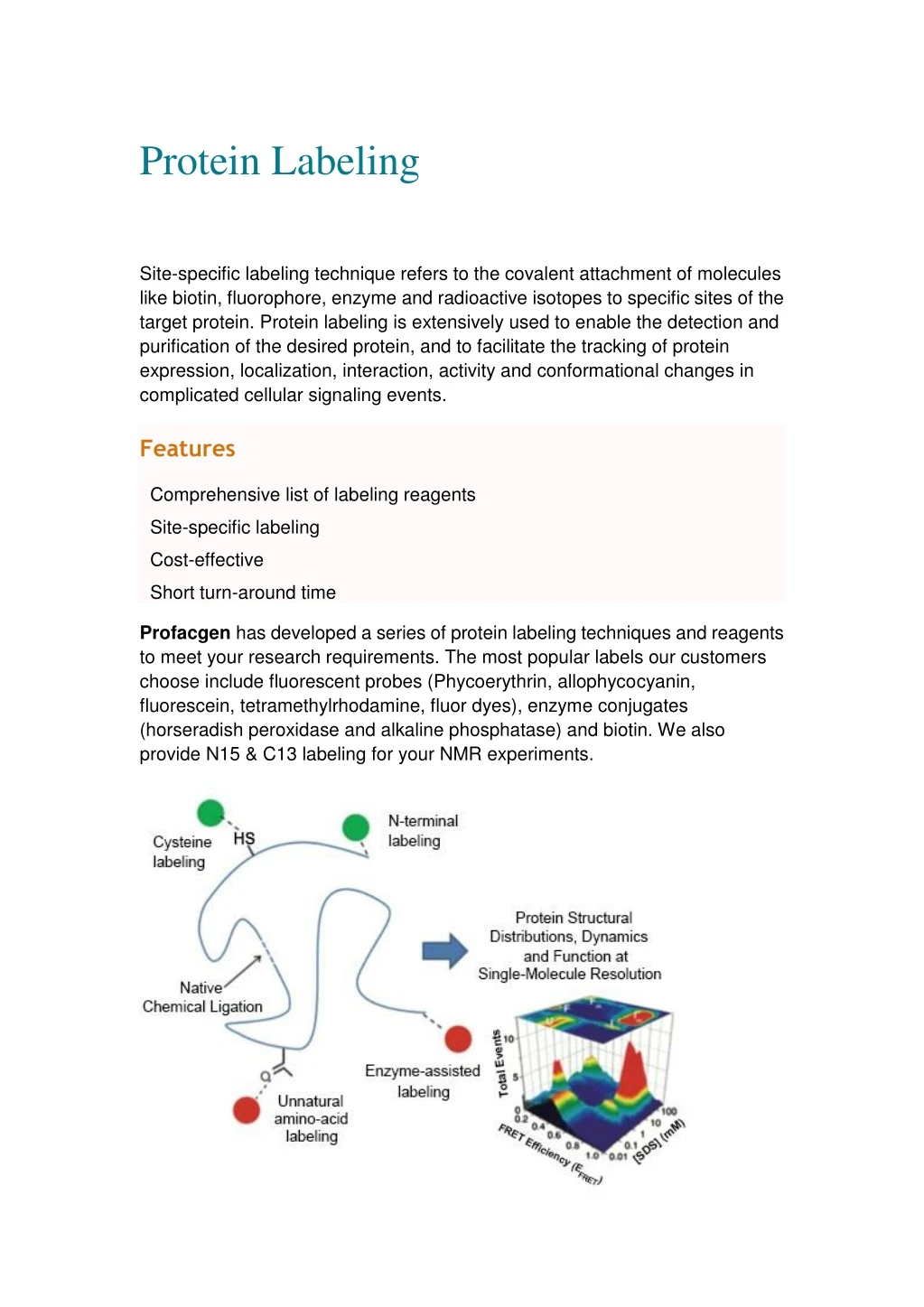 protein labeling