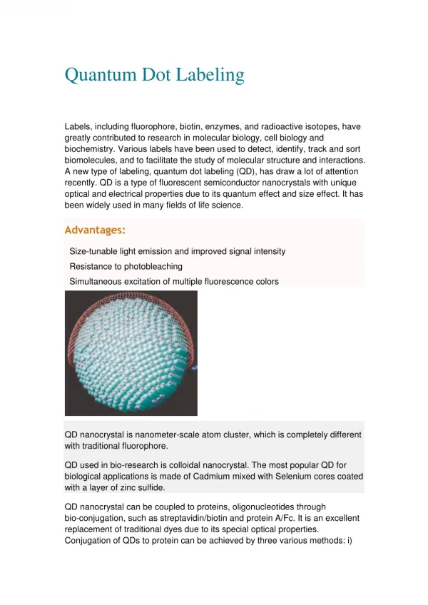 An Introduction for Quantum Dot Labeling