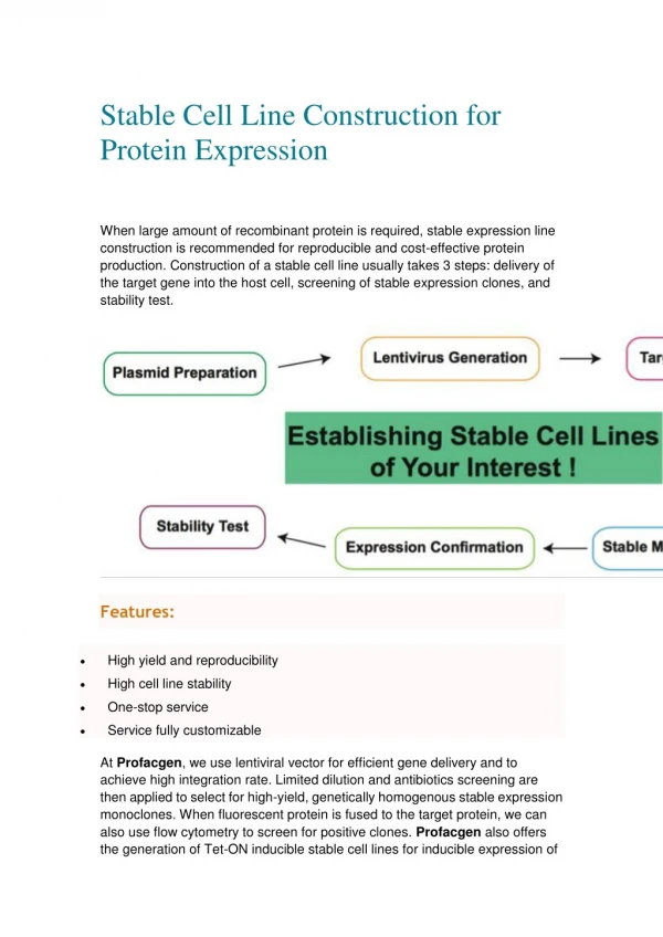 An Introduction for Stable Cell Line Construction for Protein Expression