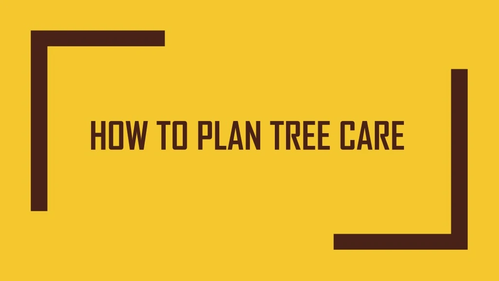 how to plan tree care
