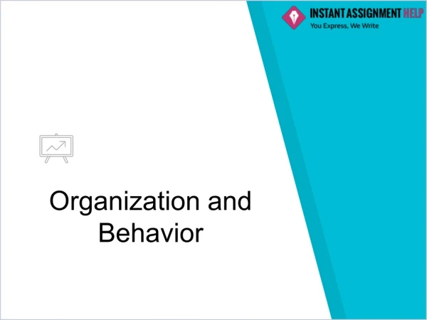 organization and behavior