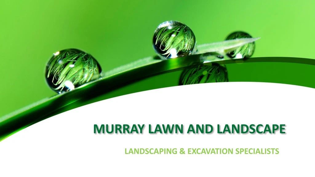 murray lawn and landscape