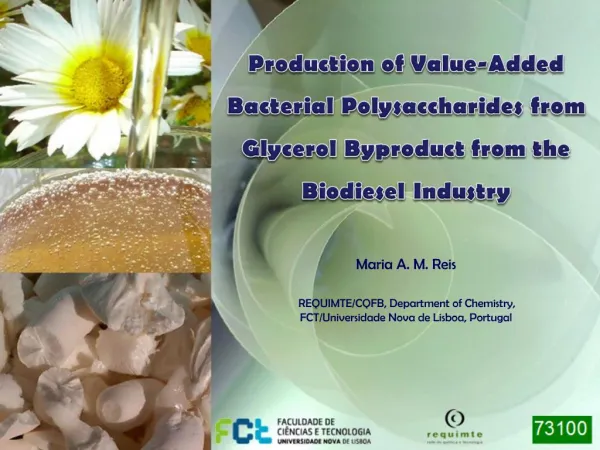 Production of Value-Added Bacterial Polysaccharides from Glycerol Byproduct from the Biodiesel Industry