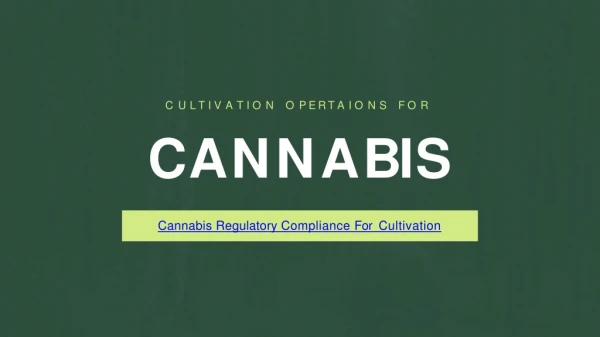 Cannabis Regulatory Compliance For Cultivation Operation | Global Cannect