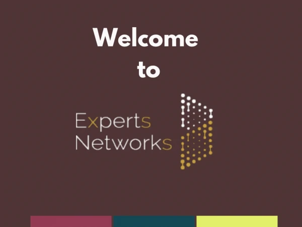 Expert Advice By Experts Networks