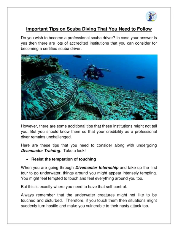 Important Tips on Scuba Diving That You Need to Follow