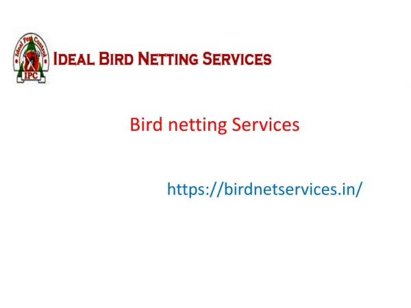 Anti Bird Netting,Balcony Bird Netting,Bird Spikes Services In pune | Ideal Bird Netting