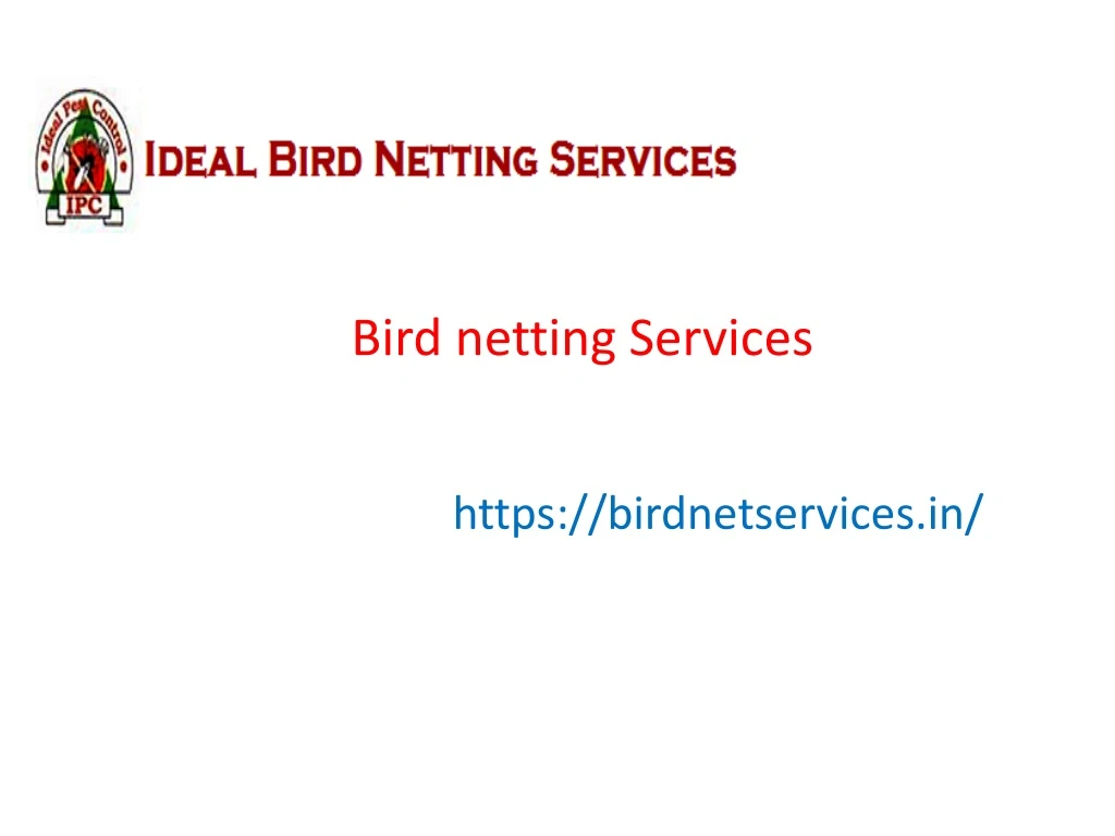 bird netting services