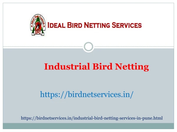 Industrial Bird Netting Service In Chakan,Bhosari,Balewadi,Pimpri-Chinchwad,Wakad,Warje,Hinjewadi,Pune | Shree Sai Servi