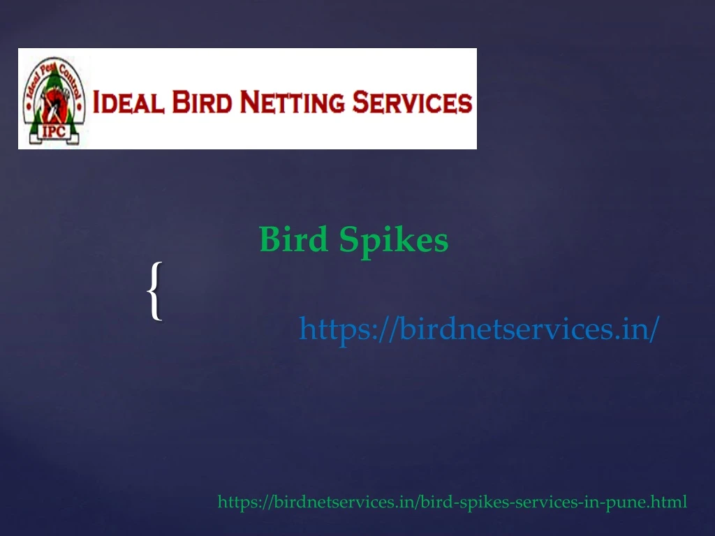 bird spikes