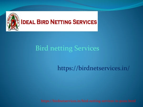 Bird Netting Services hinjewadi,karvenagar,kothrud,Nigdi,Pimpri-Chinchwad,Wakad,Pimple-Saudagar,Baner,Balewadi,Pune | Id