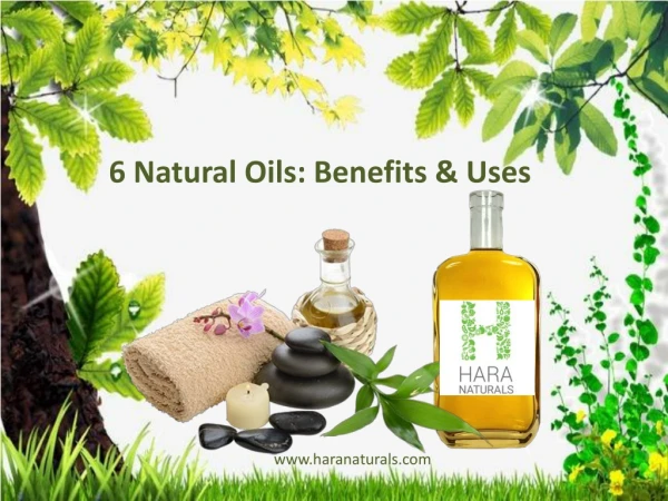 The Secret of Successful 6 Natural Oils with Their Benefits and Use
