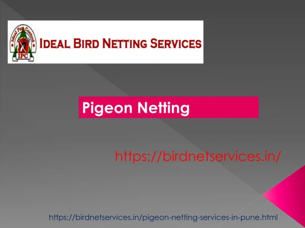 Pigeon Netting Services in Kothrud,Balewadi,Pimpri,Wakad,Warje,Karvenagar,Kodwa,Pune Pigeon Netting Dealers
