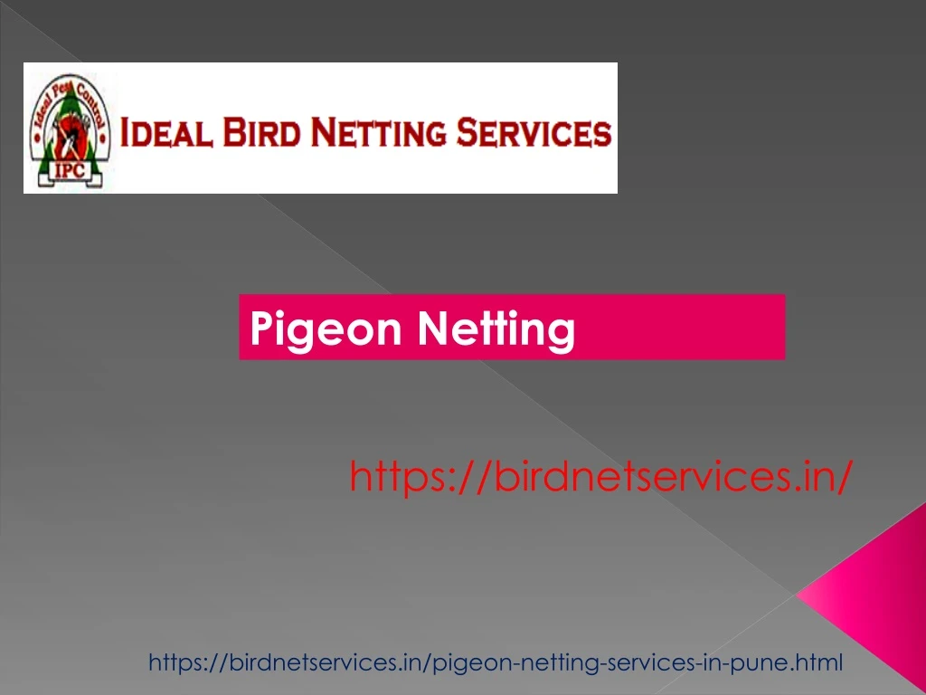 pigeon netting