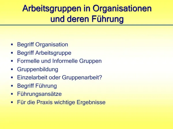 Arbeitsgruppen in Organisationen und deren F hrung