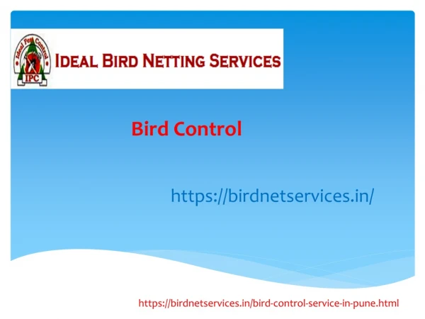 Bird Control Service In hinjewadi,karvenagar,Kondwa,kothrud,Pimpri-Chinchwad,Wakad,Wagholi,Baner,Balewadi,Pune | Shree S