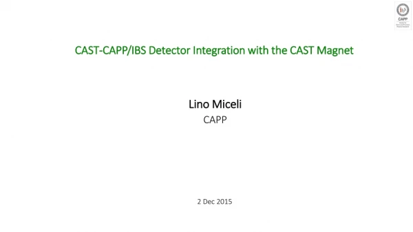 CAST-CAPP/IBS Detector Integration with the CAST Magnet