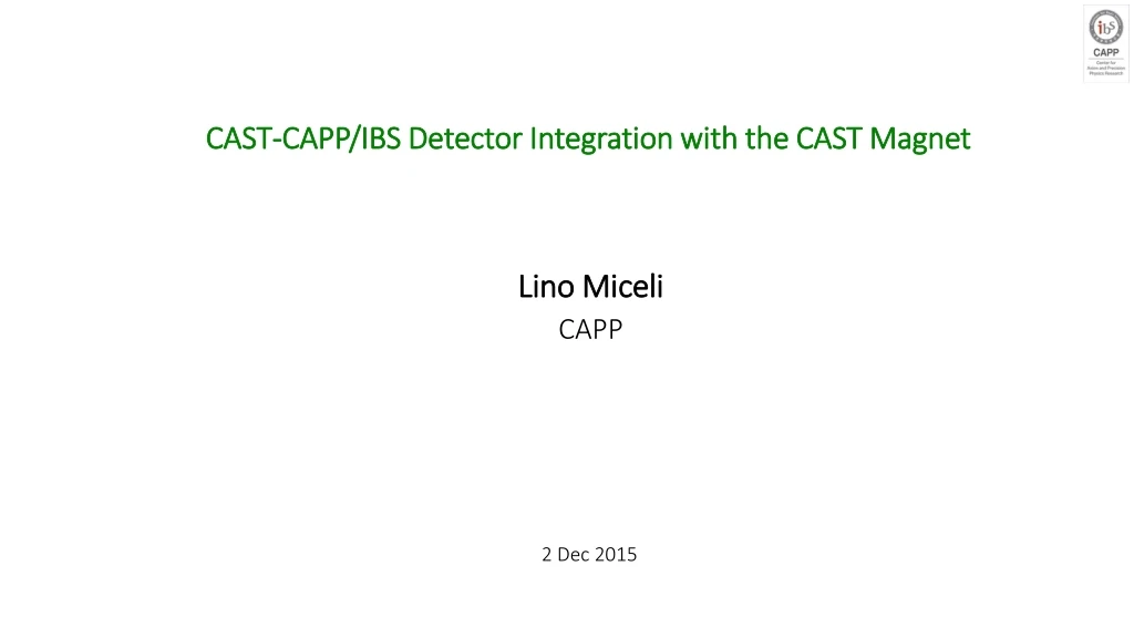 cast capp ibs detector integration with the cast magnet