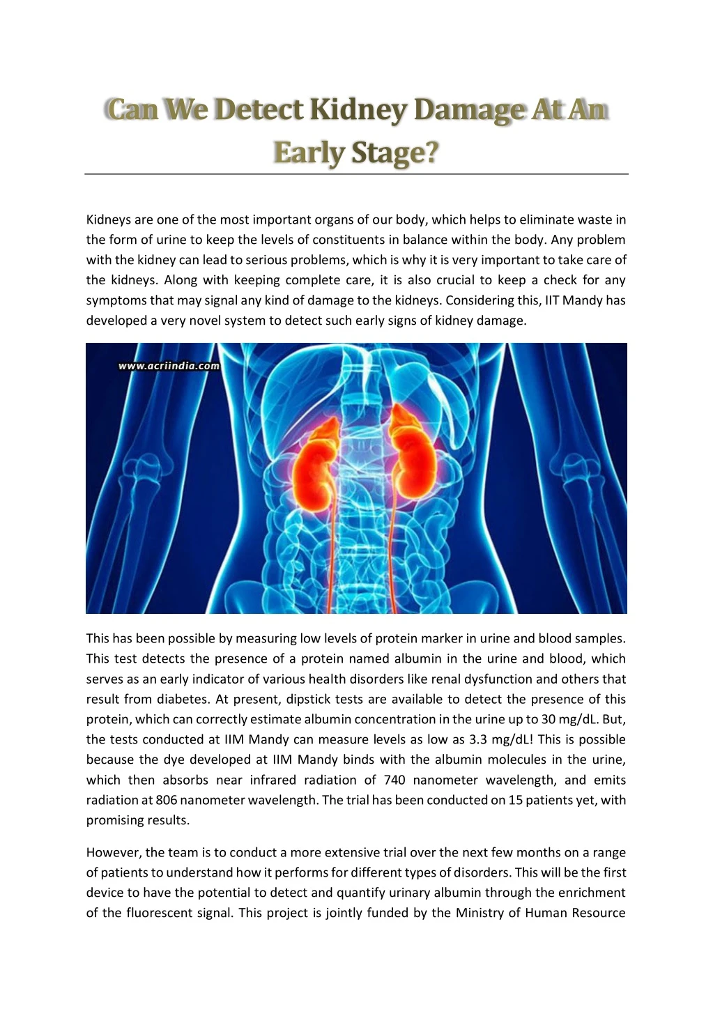 kidneys are one of the most important organs