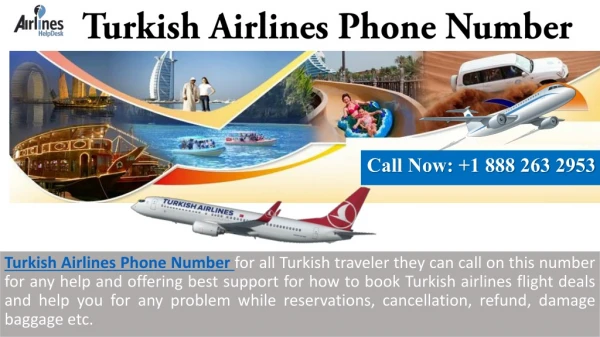Online Service to Book Flight Tickets with Turkish Airlines Phone Number