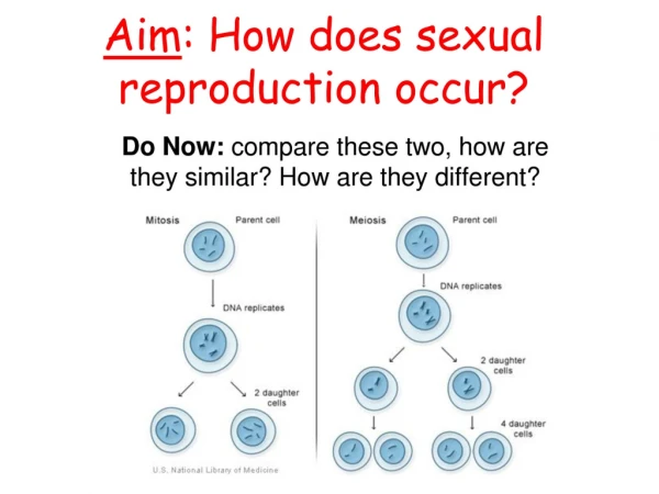 Aim : How does sexual reproduction occur?