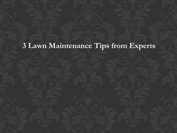 3 Lawn Maintenance Tips from Experts