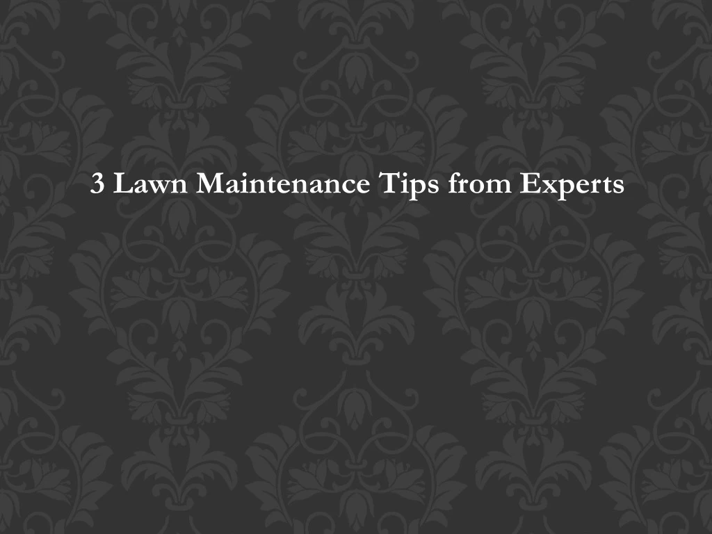 3 lawn maintenance tips from experts