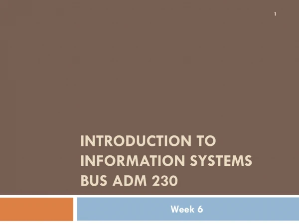 Introduction to Information Systems bus adm 230