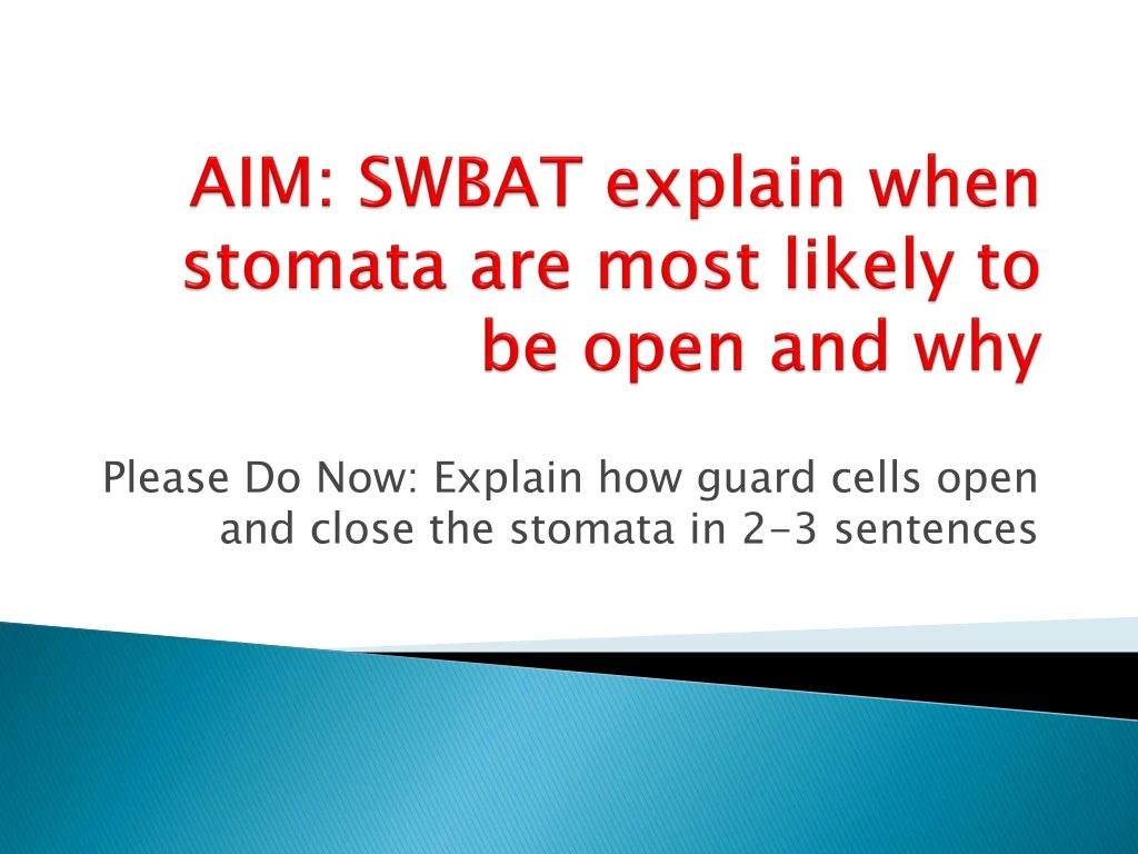 aim swbat explain when stomata are most likely to be open and why