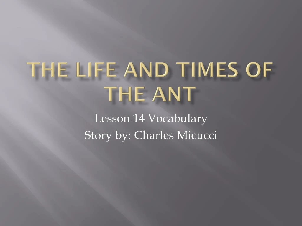the life and times of the ant