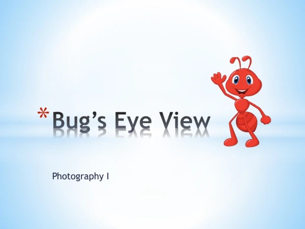 Bug’s Eye View