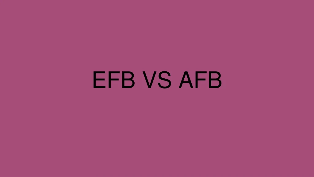 efb vs afb