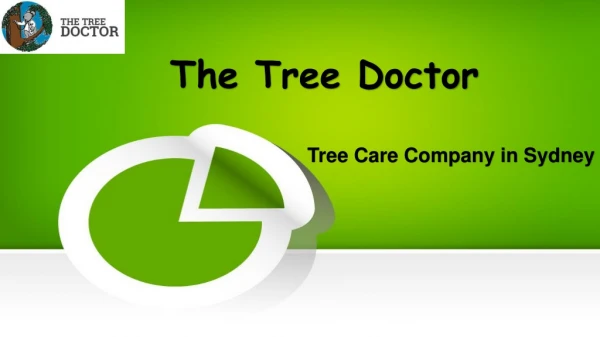 Affordable Tree Service Sydney | The Tree Doctor