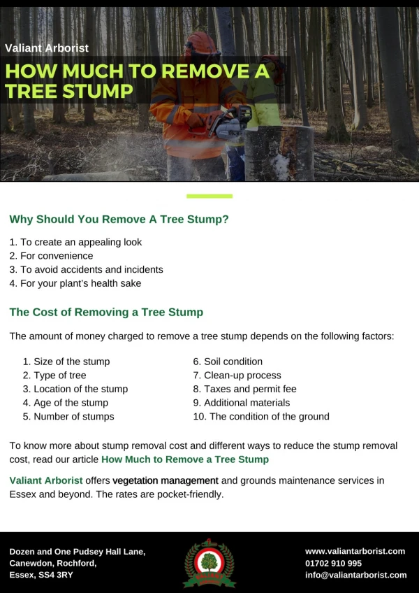 How much to remove a tree stump - Valiant Arborist