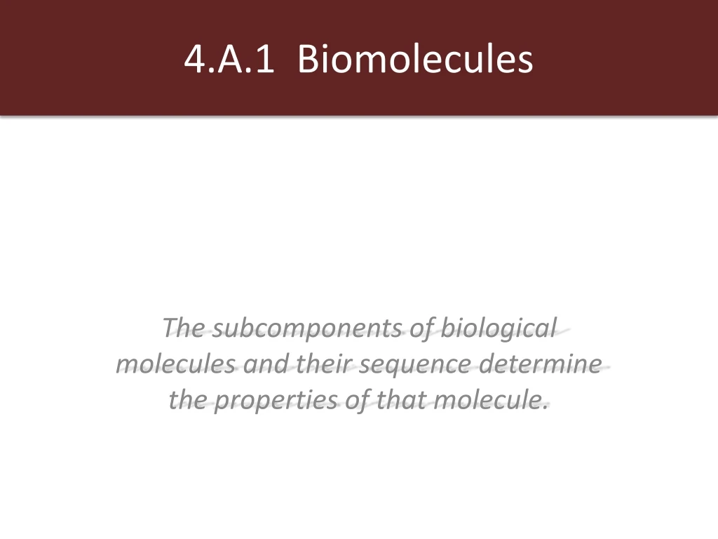 4 a 1 biomolecules